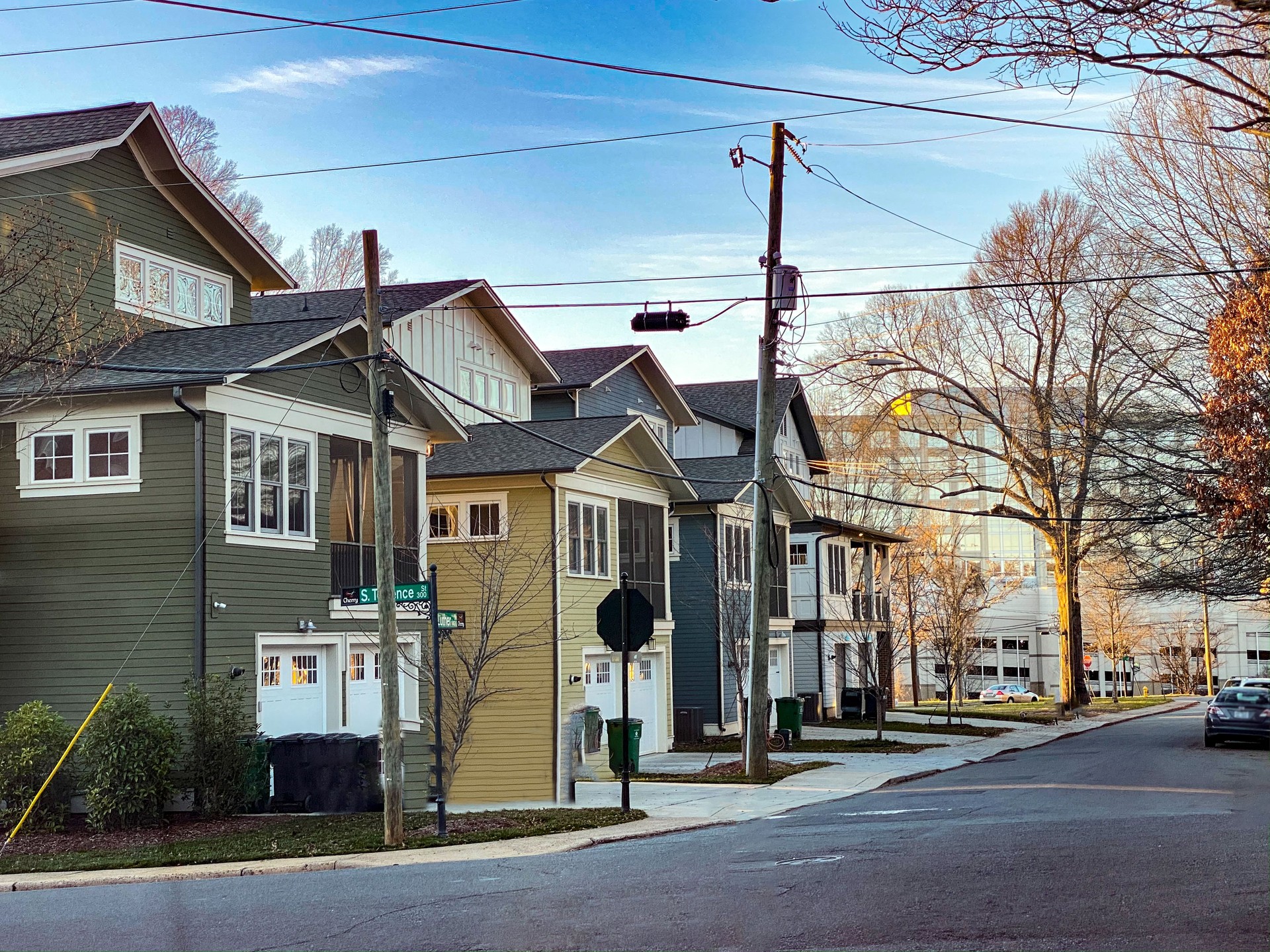 Houses typical of North Carolina